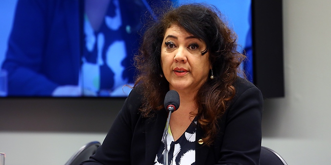 Audiência pública sobre assuntos relacionados a RECALL. Dep. Christiane de Souza Yared(PR - PR)