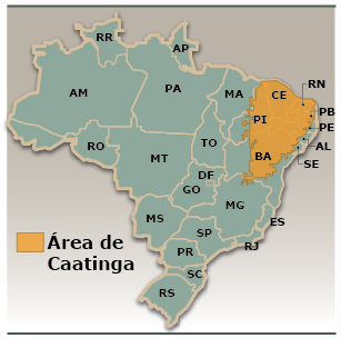 Resultado de imagem para mapa com posição da caatinga