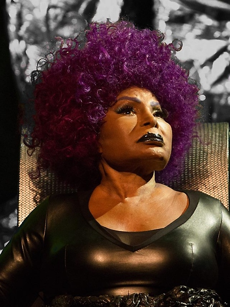 Programa Palco Brasil - Elza Soares