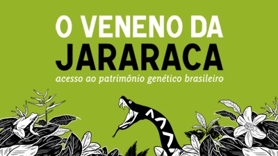 O Veneno da Jararaca 4