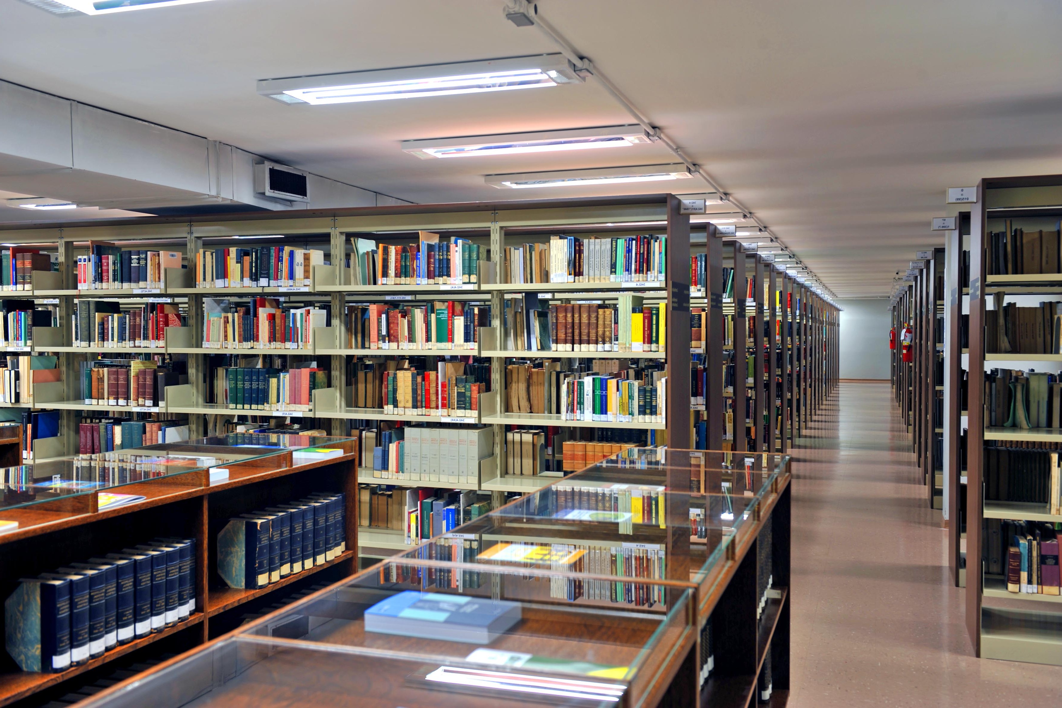 Biblioteca Pedro Aleixo