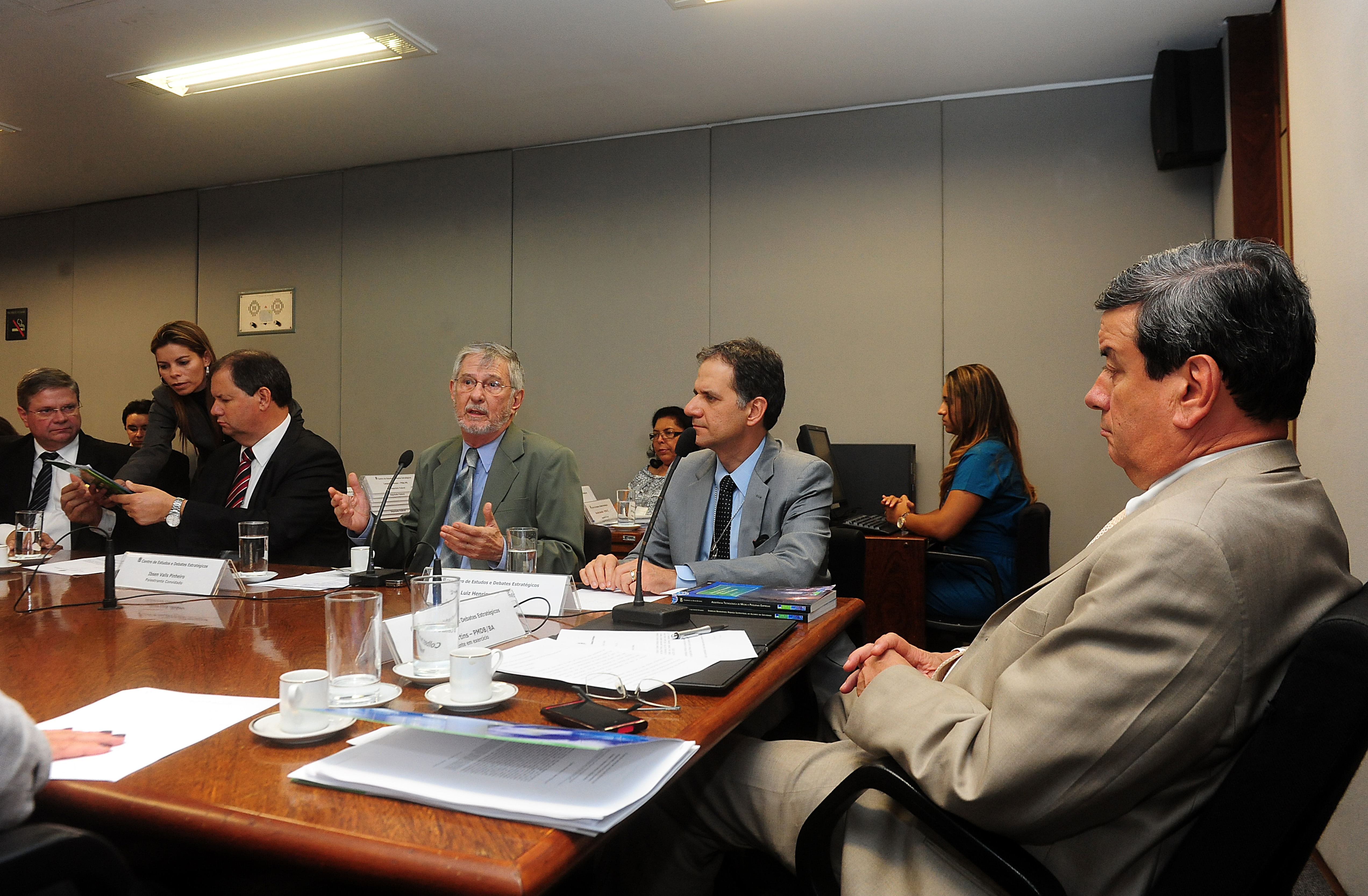 Mesa da 13ª reunião