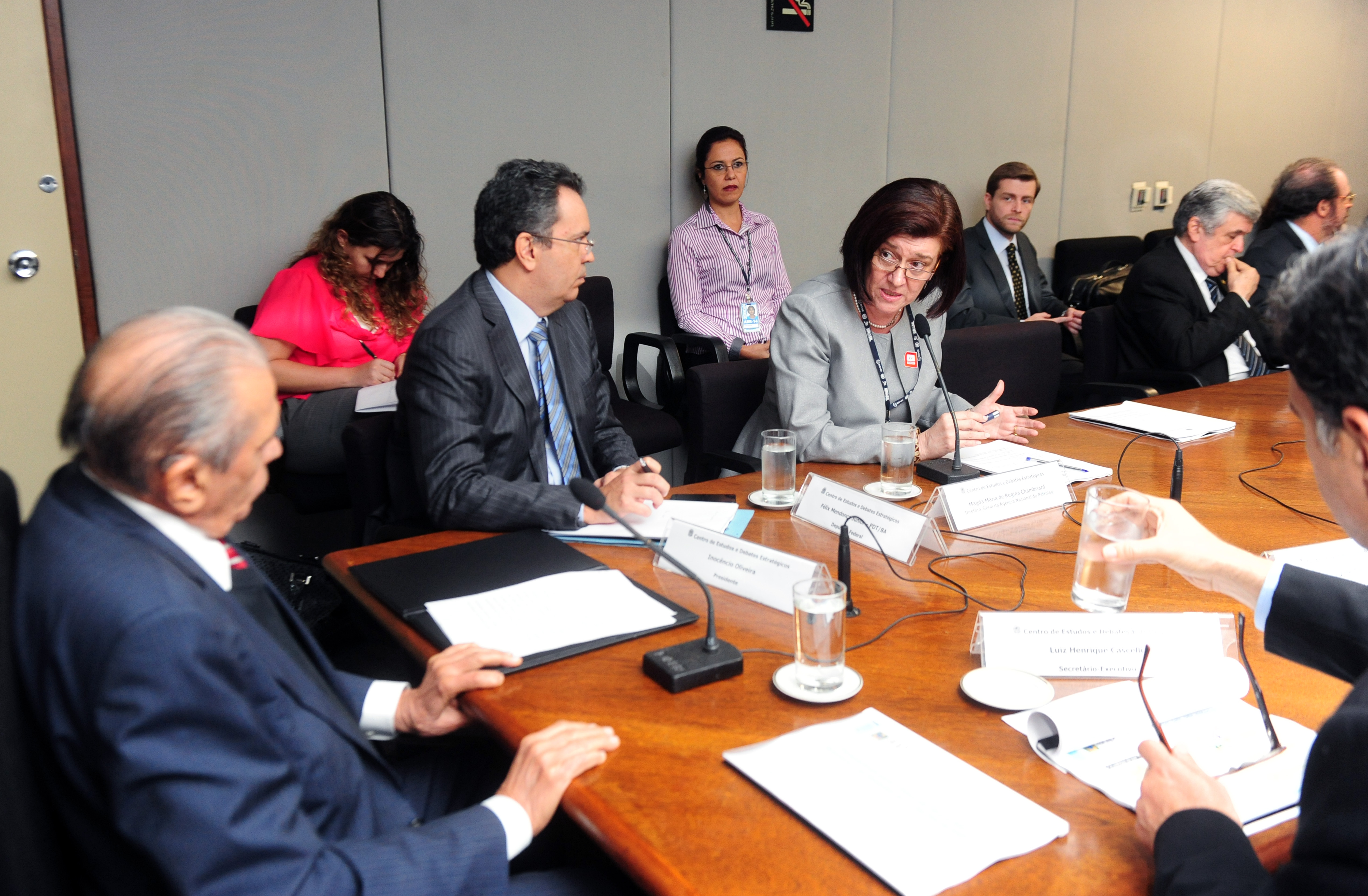 Magda Chambriard discursa na 9ª reunião do CEDES