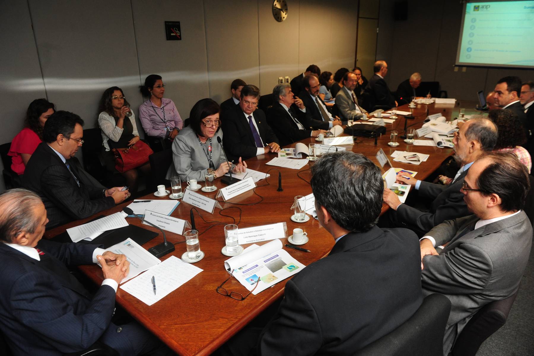 Plenário da reunião