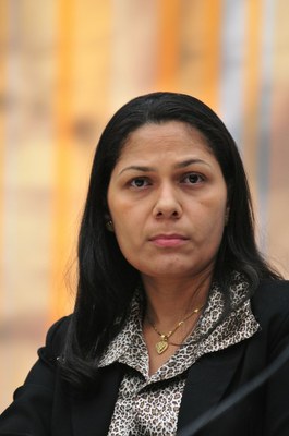 Ana Salett Marques Gulli