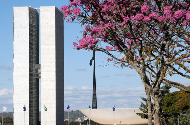 Comemorações do Dia do Meio Ambiente reforçam compromissos e parcerias pela sustentabilidade