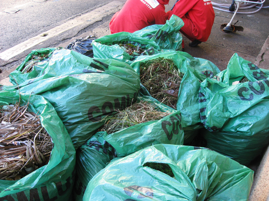 Manutenção de jardins reduz o uso de sacos plásticos
