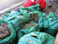 Manutenção de jardins reduz o uso de sacos plásticos