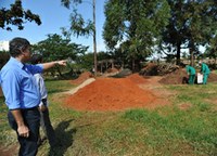 Novo viveiro de mudas da Câmara “domesticará” espécies do Noroeste