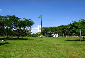 Parque Bosque dos Constituintes é visita verde à história brasileira