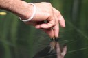 Peixes trazem beleza e benefícios ambientais à fonte de água do Cefor