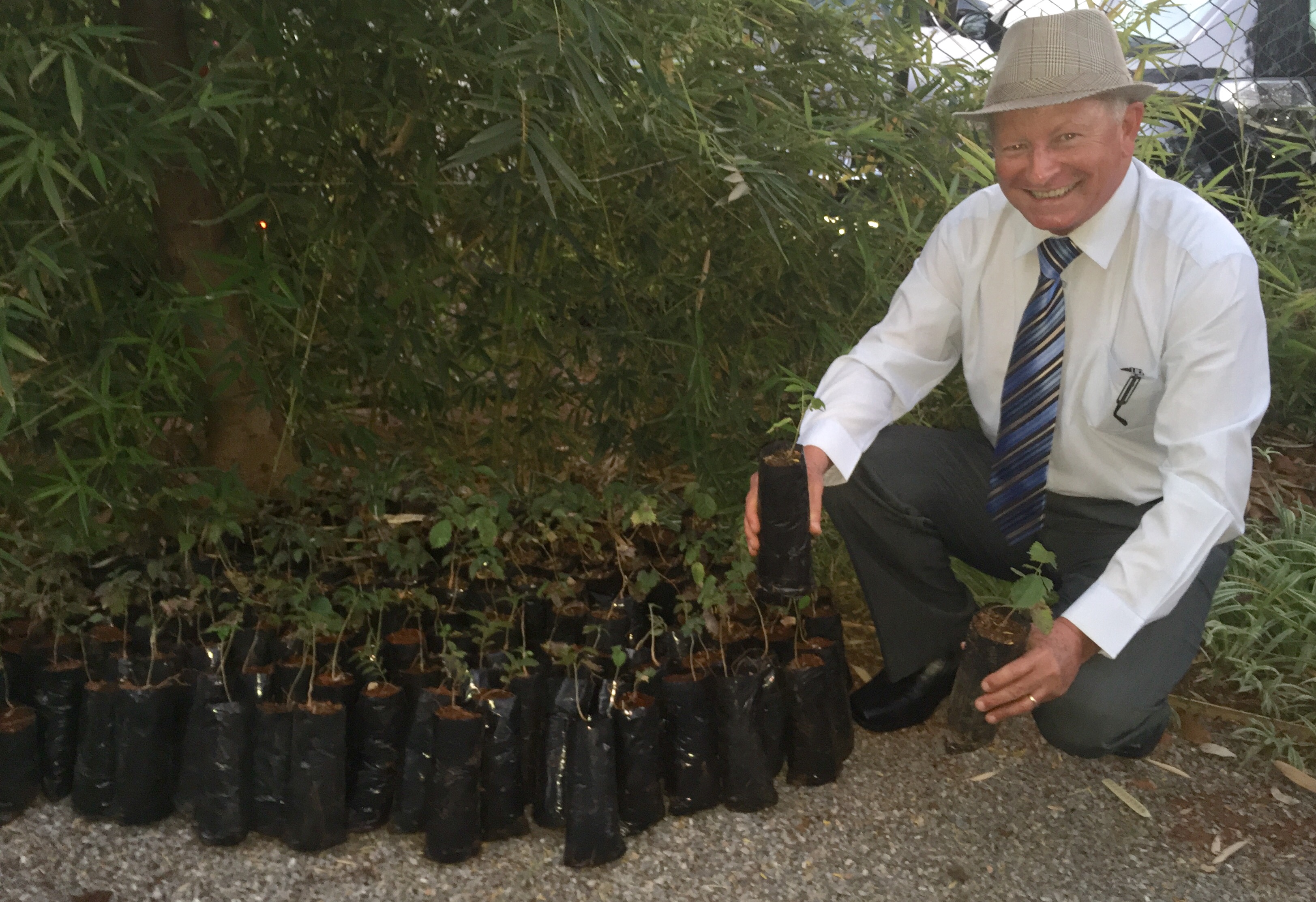 Servidor doa mudas de ipê para a Câmara