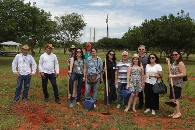 Sexta edição do Abrace o Bosque planta mudas de espécies nativas do Cerrado