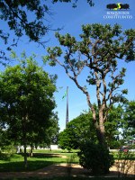 Ulysses Guimarães é homenageado em evento no Bosque dos Constituintes