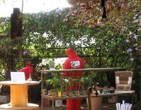 Viveiro de Plantas da Câmara aberto para visitação