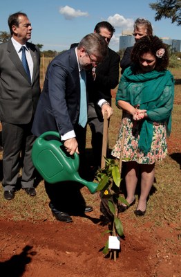 Arboreto das Nações
