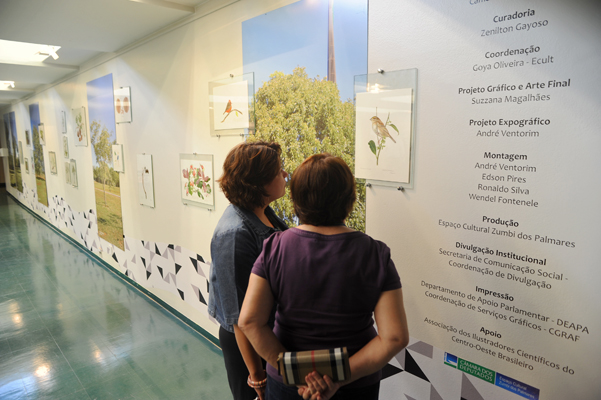 Exposição ilustrações bosque 2011