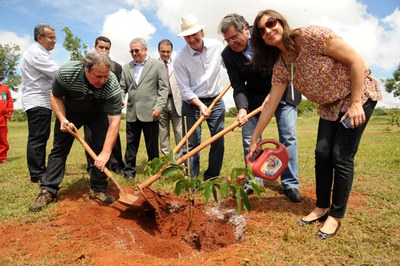 Plantio PV no Bosque