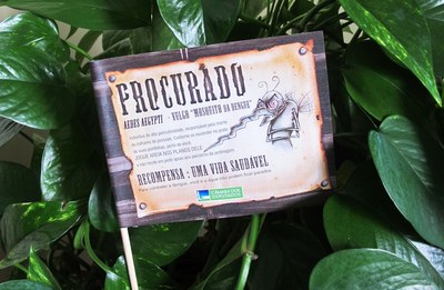 Campanha dengue 2011