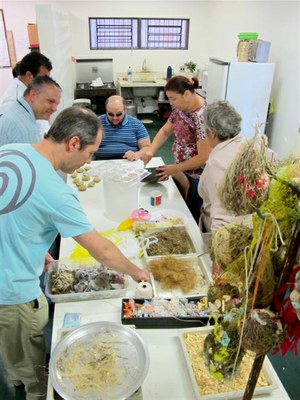 Oficina pássaros 1ª 2011 2