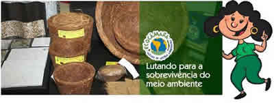 Institucional_EcoCamara