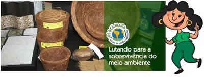 Institucional_EcoCamara