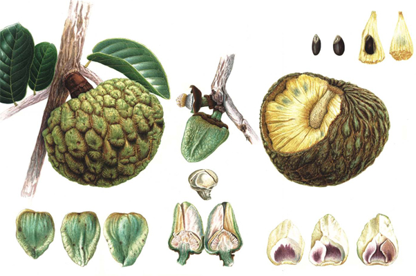 Portfólio Cerrado 3