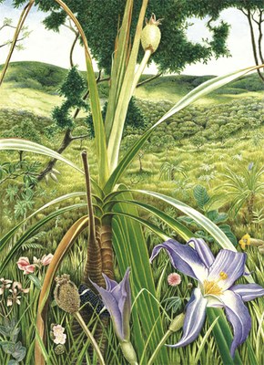 Portfólio Cerrado 2