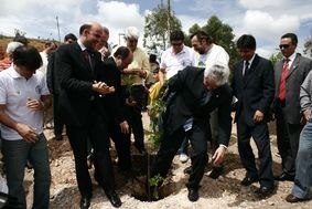 Carbono neutro - evento Mogi 1