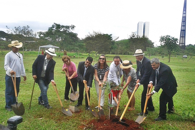 EcoCâmara recebe homenagem com plantio de árvore no Bosque dos Constituintes