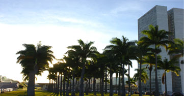 Fórum de Palmeiras Imperiais