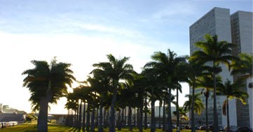 Fórum de Palmeiras Imperiais