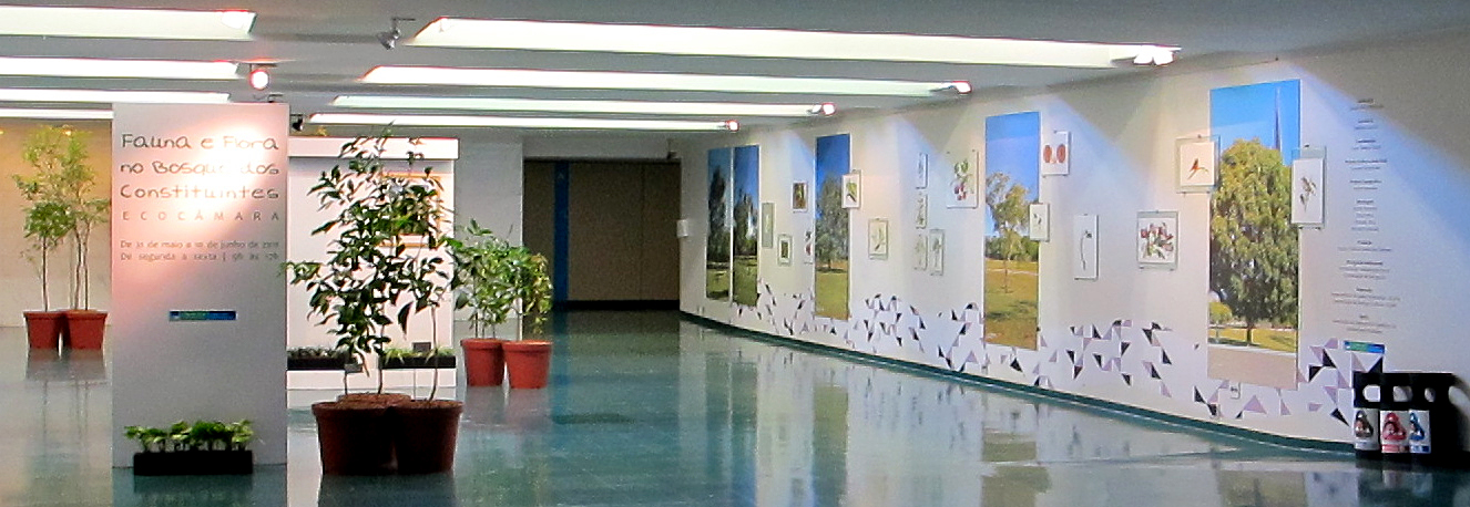 Exposição ilustrações Bosque 2