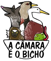 Logo A Câmara é o Bicho