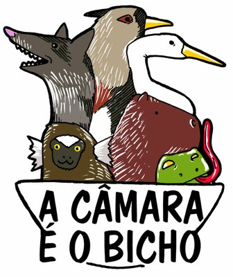 Logo A Câmara é o Bicho