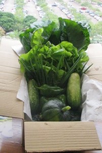 Juarez - Cesta de Verduras