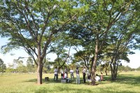 2&ordf; reuni&atilde;o: Bosque