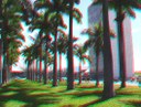 palmeiras_3d_2