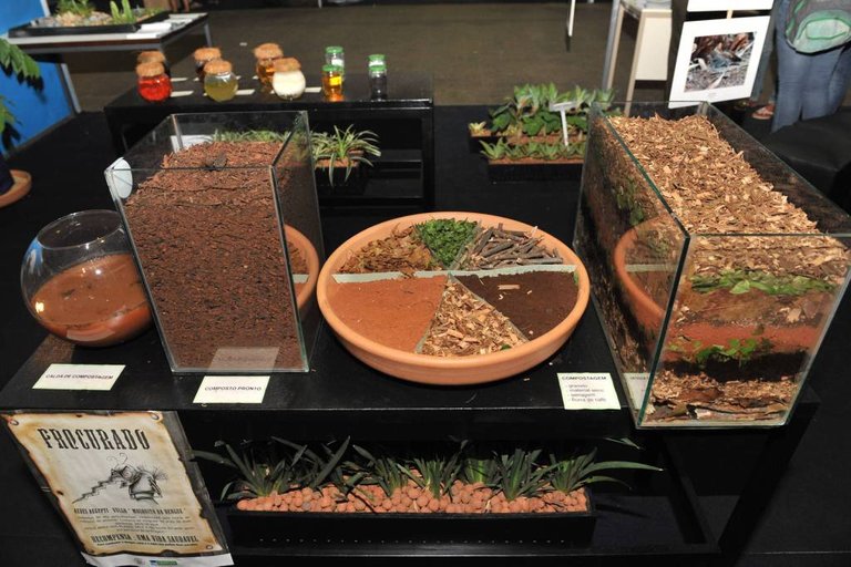 Exemplo de processo de Compostagem realizado nos jardins da Câmara dos Deputados 