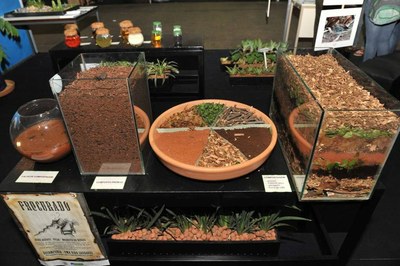 Exemplo de processo de Compostagem realizado nos jardins da Câmara dos Deputados 