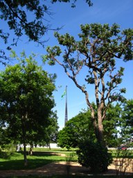 Bosque dos Constituintes