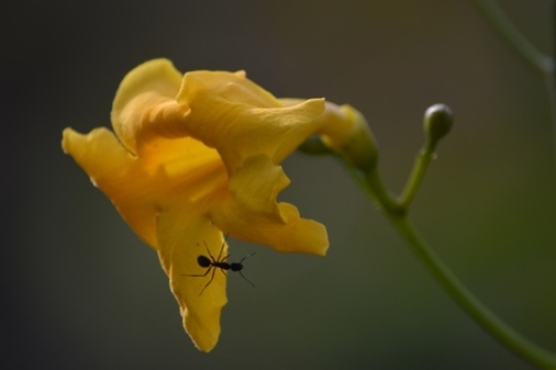  passeio de fotografia