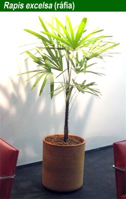 Planta - EcoCâmara 