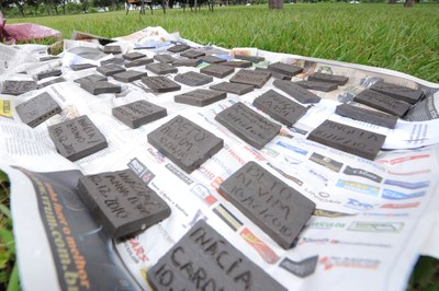 Plantio Bosque 2010 2