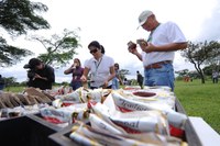 Plantio Bosque 2010 3