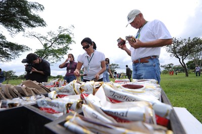 Plantio Bosque 2010 3