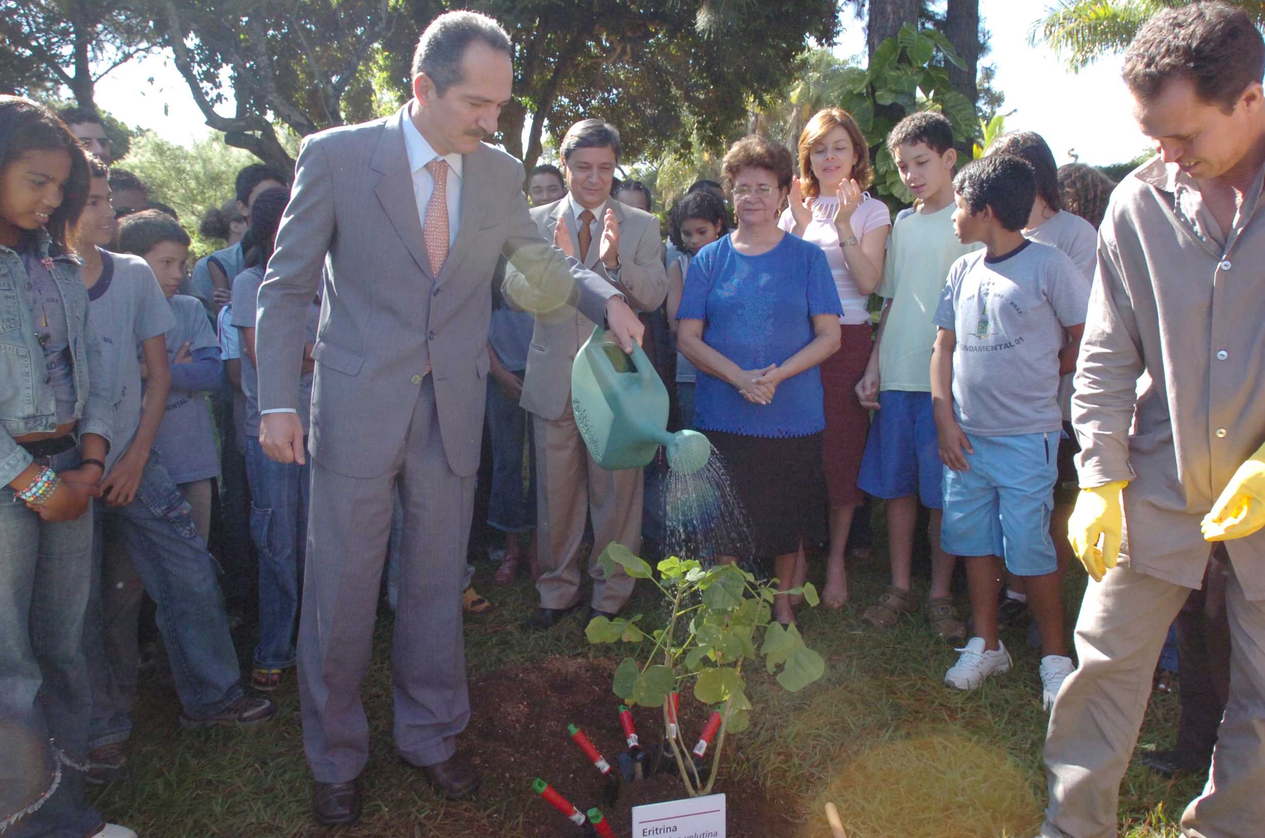 plantio residência oficial2