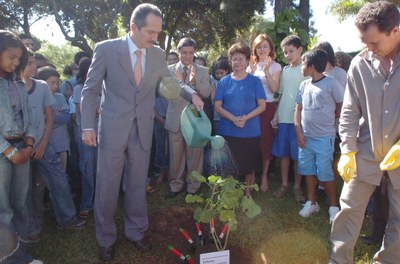 plantio residência oficial2