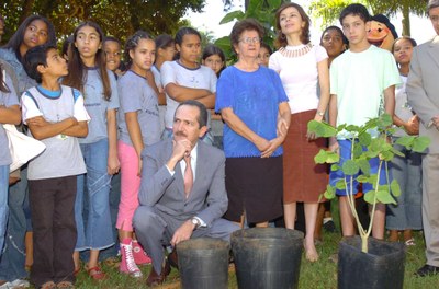 plantio residência oficial3