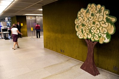 àrvore sustentabiliadae na mudança da legislatura